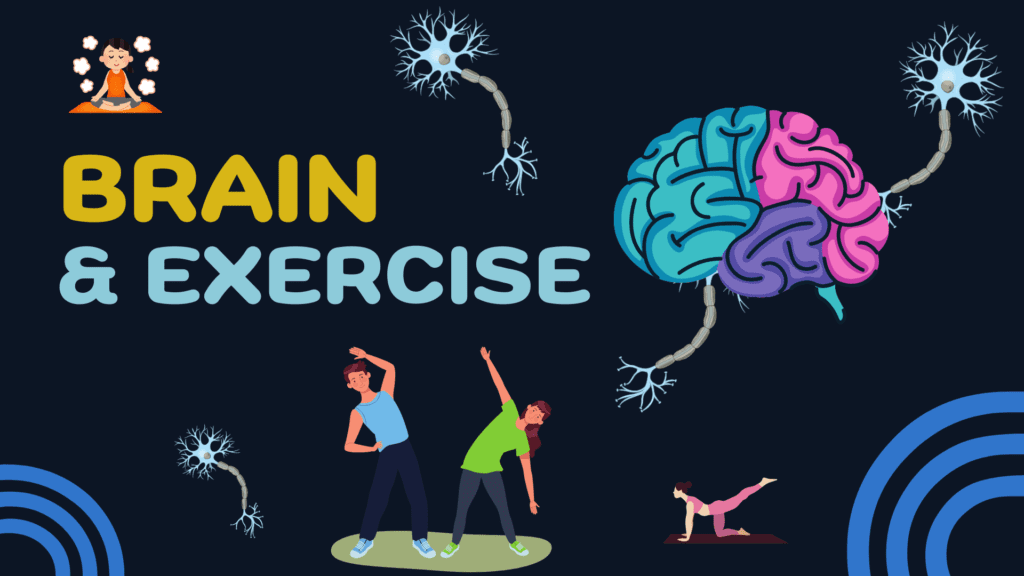 Role of Physical Exercise in Brain Health: Why Physical Activity Matters? 1