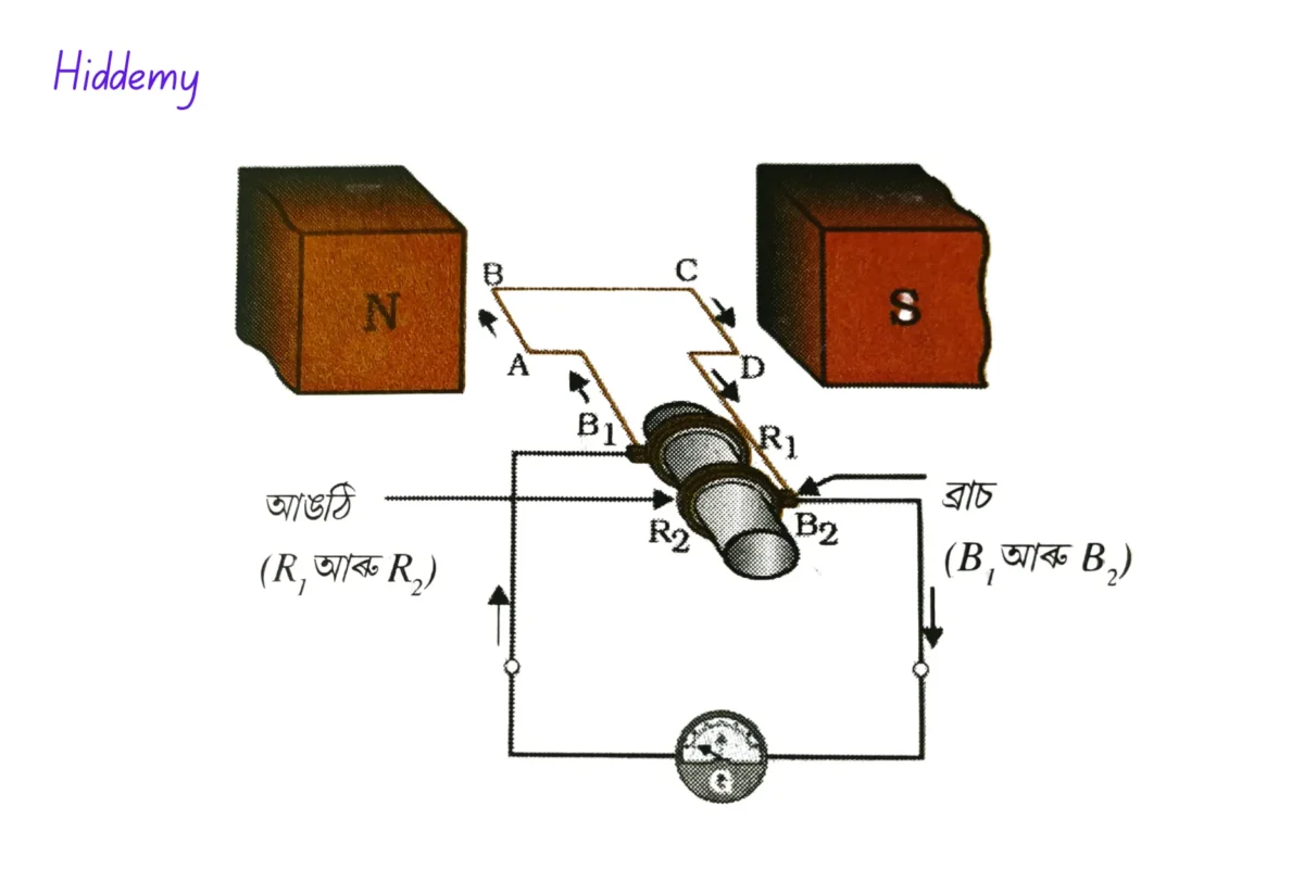 Diagram of an electric generator for SEBA Class 10 Science Chapter 13 Question answer
