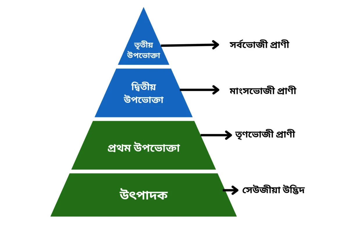 SEBA Class 10 Science Our Environment Question Answers | Chapter 15 আমাৰ পৰিৱেশ ( Our Environment) HSLC 2026 1 Diagram illustrating a food chain with grass, deer, and lion forClass 10 Science Our Environment Question Answers