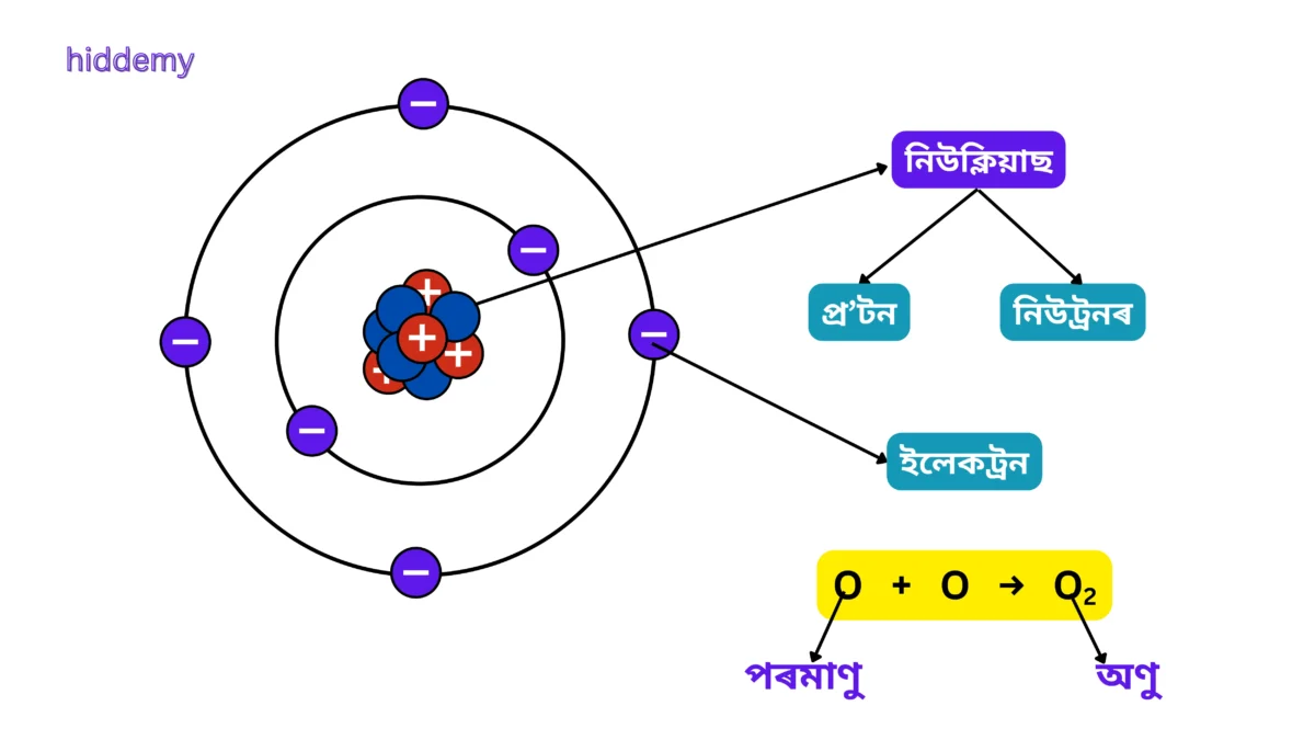 SEBA Class 10 Science Chapter 5 Notes Periodic Classification of Elements (মৌলৰ পৰ্যাবৃত্ত শ্রেণীবিভাজন) | Assamese Medium 1 Diagram for SEBA Class 10 Science Chapter 5 Notes Periodic Classification of Elements Atom and Molecule