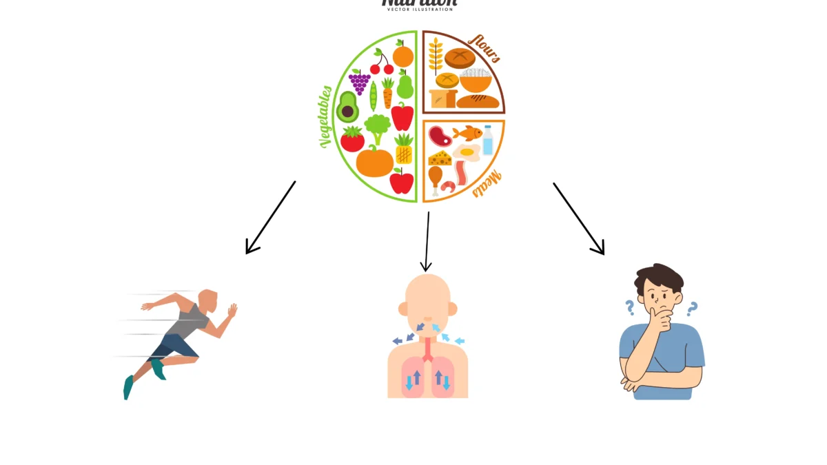 SEBA Class 10 Science Chapter 6 Summary Life Process | জীৱন প্ৰক্ৰিয়া Notes HSLC SEBA Assam 2 Diagram for SEBA Class 10 Science Chapter 6 Nutrition