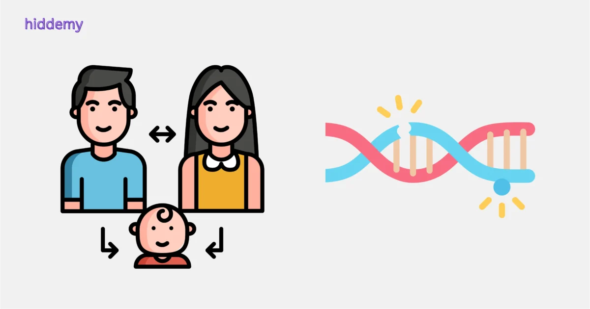 SEBA Class 10 Science Chapter 8 Notes How Do Organisms Reproduce (জীৱই কেনেকৈ বংশবিস্তাৰ কৰে) for HSLC 2026 | Assamese Medium 3 Illustration of Variation in Reproduction for SEBA Class 10 Science Chapter 8 Notes