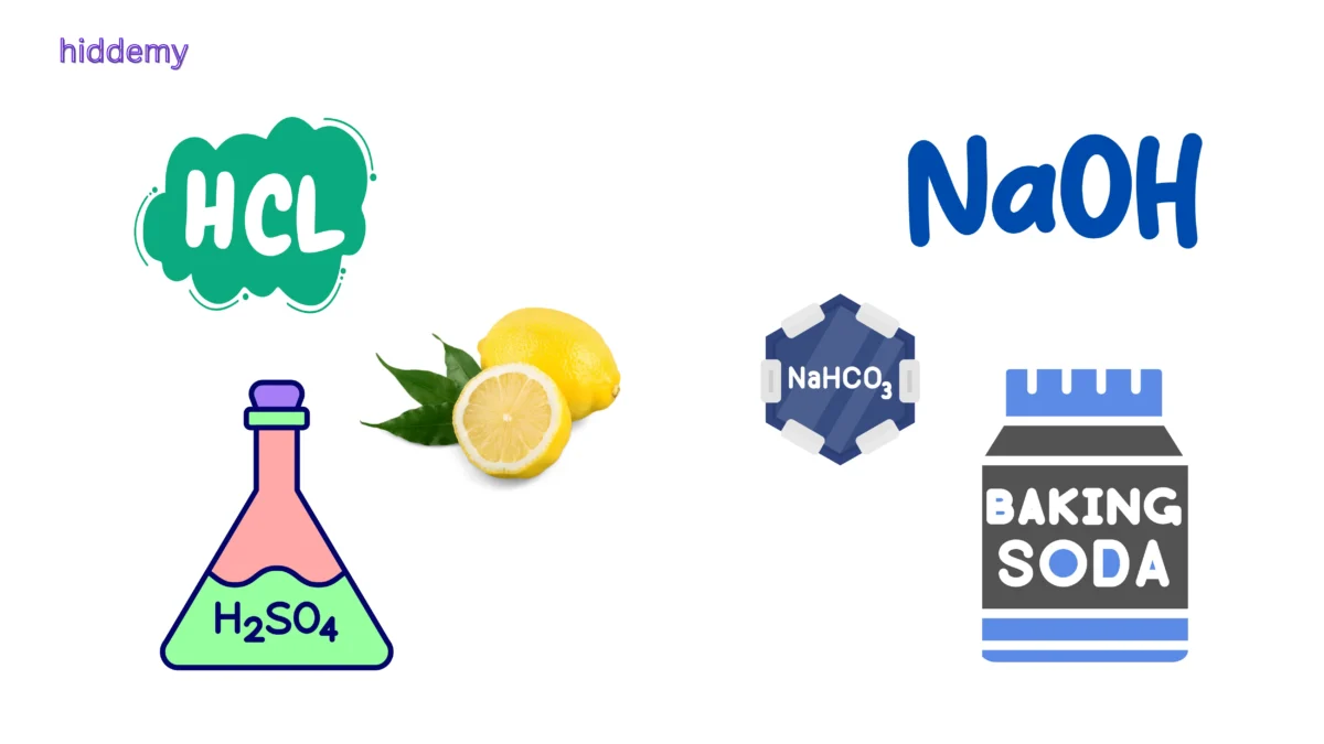 Examples of bases and bases for Class 10 Science Chapter 2 Notes Acids, Bases and Salts